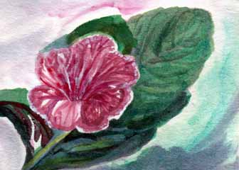 "Streptocarpus #1" by Mary Lou Lindroth, Rockton IL - Watercolor
